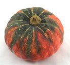 Artificial Pumpkins - a pair of