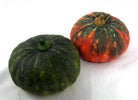 Artificial Pumpkins - a pair of