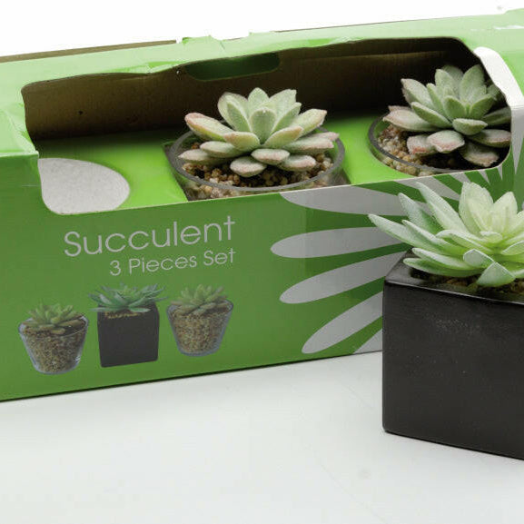 Artificial Plastic Assorted Succulents in Pot
