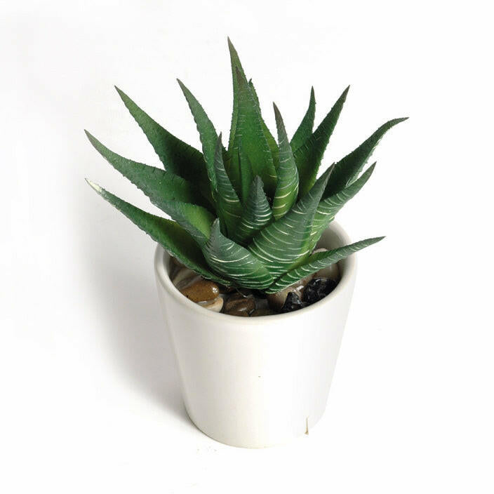 Artificial Plastic Mini Aloe in white Pot