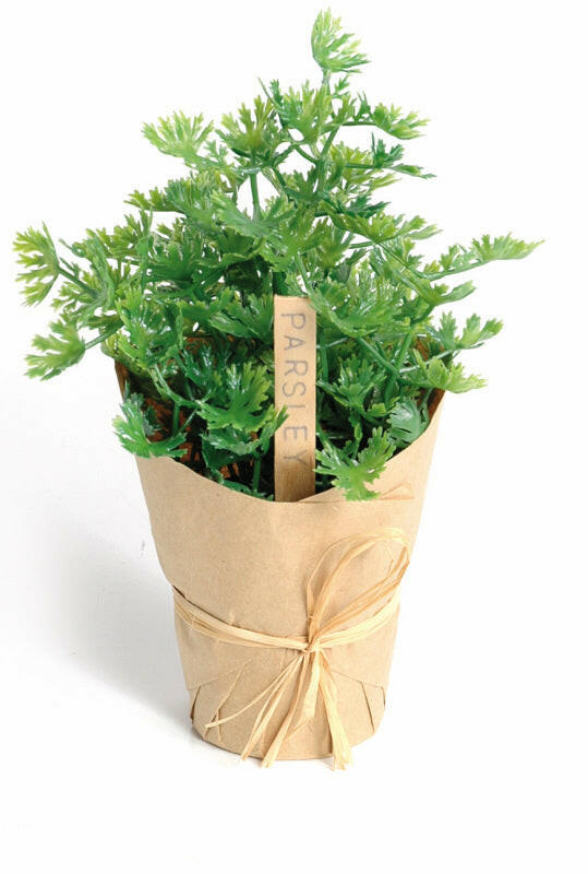 Artificial Plastic Parsley Pot wrapped in paper