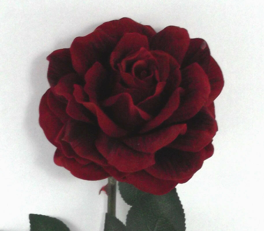 Artificial Silk Supreme Medium Garden Rose (Single Head)