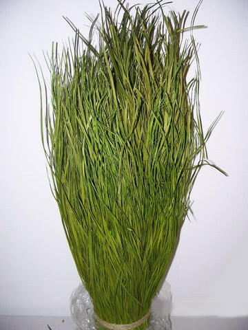 Artificial Snake Grass Standing Tied