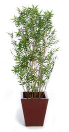 Artificial Silk Bamboo Oriental Tree IFR