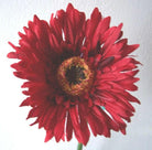 Gerbera Mini