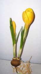 Artificial Silk Baby Crocus with bulb and roots