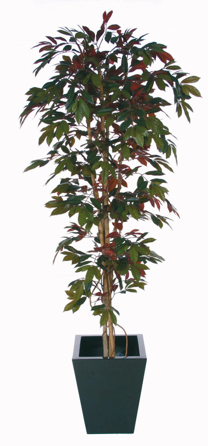 Artificial Capensia Deluxe Liana Tree IFR