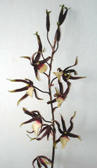 Artificial Silk Spider Orchid