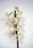 Artificial Silk White Bluebell Single Stem