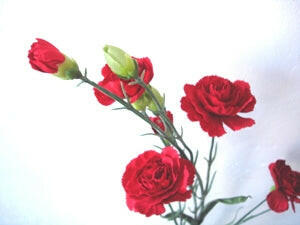 Artificial Silk Carnation Flowers Spray