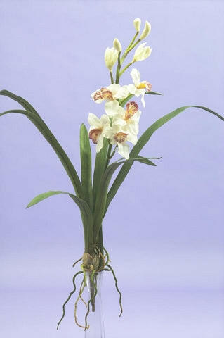 Artificial Silk Real Touch Cymbidium Orchid.