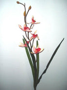 Artificial Silk Singapore Orchid