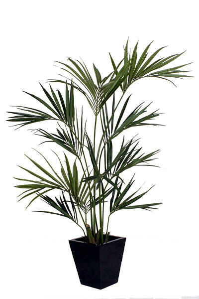 Artificial Silk Kentia Palm Tree