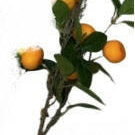 Artificial Mandarin Fruit Spray