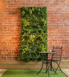 Artificial Draceana, Ivy & Fern Living Wall UV x8